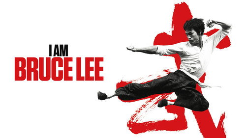 I Am Bruce Lee 2012 Hindi Dual Audio Bluray 720p [850MB] Download