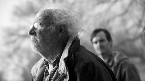 Nebraska 2013 Dual Audio Hindi Movie 720p BluRay - 1GB