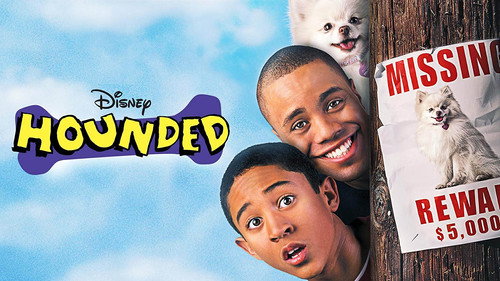 Hounded 2001 Hindi Dual Audio 480p BluRay 310MB
