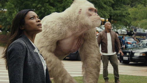 Rampage (2018) Hindi (Original) Dual Audio BluRay Hevc [180MB]