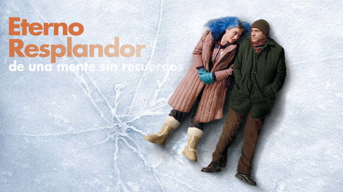 Eternal Sunshine Of The Spotless Mind 2004 Hindi Dual Audio 480p BluRay 300MB