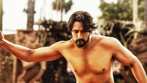 Pailwaan (2019) Hindi (Org) Dual Audio Movie 480p HDRip - [450MB]