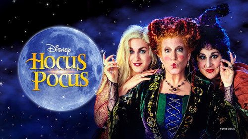 Hocus Pocus 1993 Hindi Dual Audio 480p BluRay 320MB