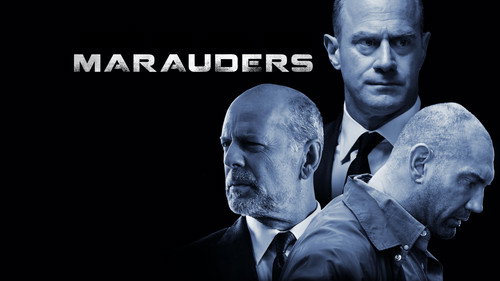 Marauders (2016) Hindi Dual Audio 480p BluRay 360MB