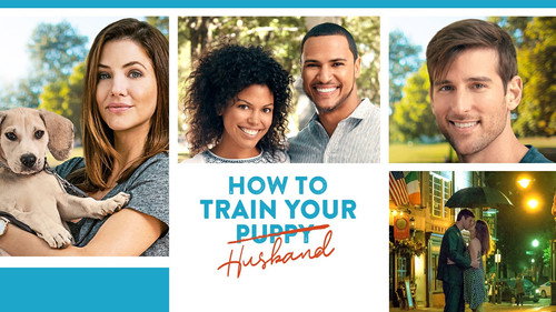 How to Train Your Husband 2018 Hindi Dual Audio 480p BluRay 300MB