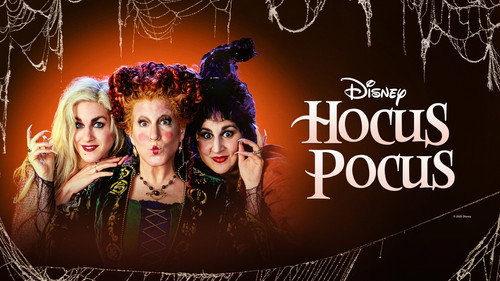 Hocus Pocus 1993 Hindi Dual Audio 480p BluRay 320MB