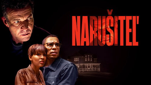 The Intruder (2019) Hindi Dual Audio 480p Web-DL 300MB