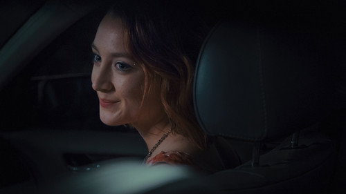 Lady Bird 2017 Hindi Dual Audio 480p BluRay 300MB
