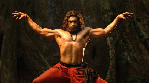 7 Aum Arivu (2011) Hindi Dual Audio 480p HDRip 500MB