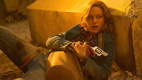 Free Fire (2016) Hindi Dual Audio 480p BluRay 300MB