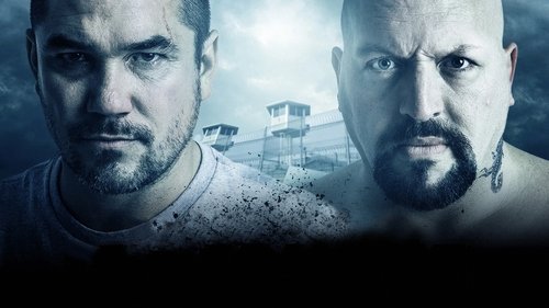 Vendetta 2015 Hindi Dual Audio 480p BluRay 300MB