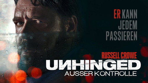 Unhinged (2020) Hindi Dual Audio 480p BluRay 300MB