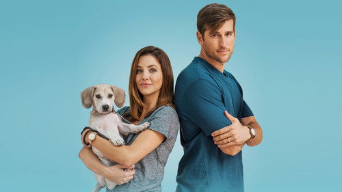 How to Train Your Husband 2018 Hindi Dual Audio 480p BluRay 300MB