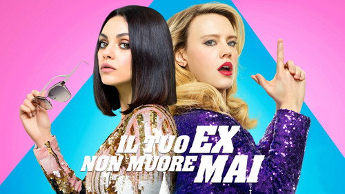 The Spy Who Dumped Me 2018 Hindi Dual Audio 480p BluRay 350MB