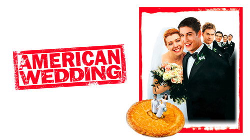 American Wedding (2003) Hindi Dual Audio 480p BluRay 300MB
