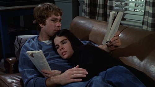 Love Story (1970) Hindi Dual Audio 720p BluRay [870MB]