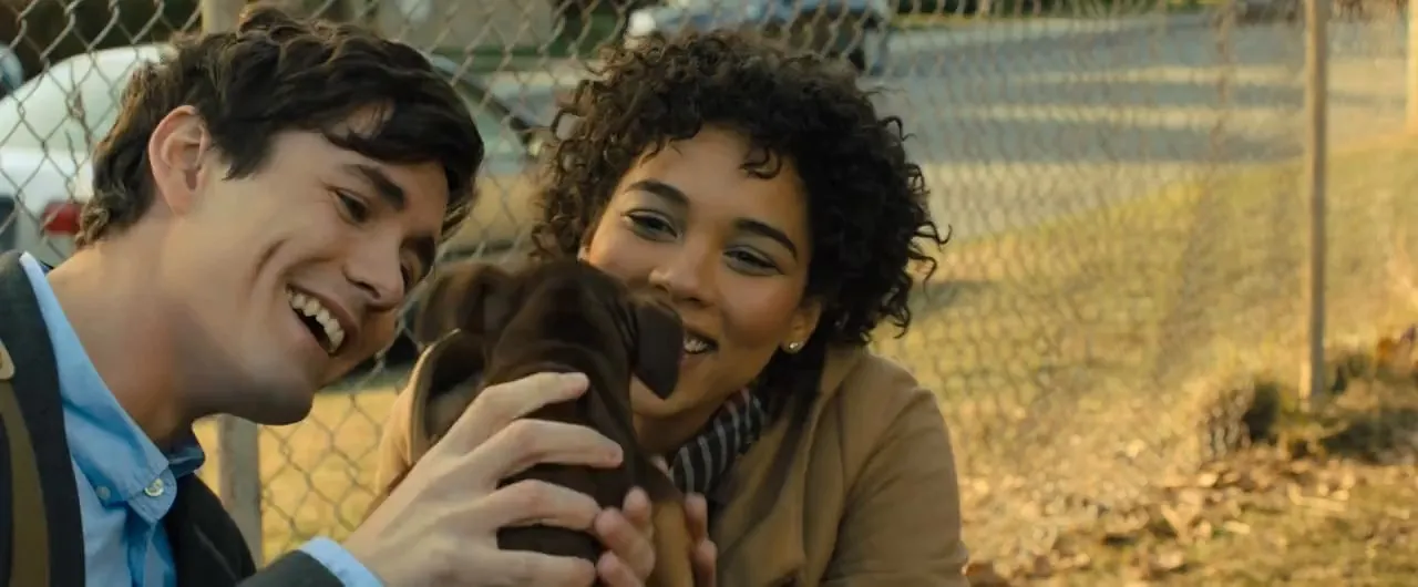 A Dogs Way Home (2019) Hindi Dual Audio 720p Web-DL [900MB]