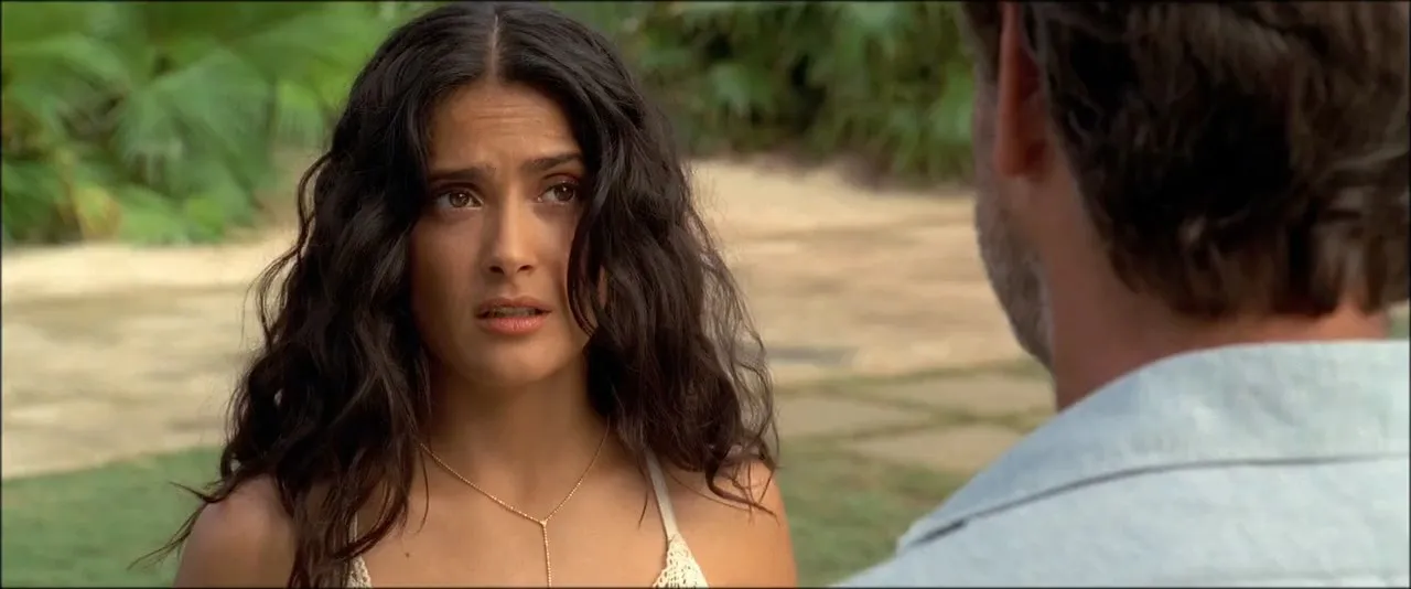 After The Sunset (2004) Hindi Dual Audio 720p BluRay [780MB]