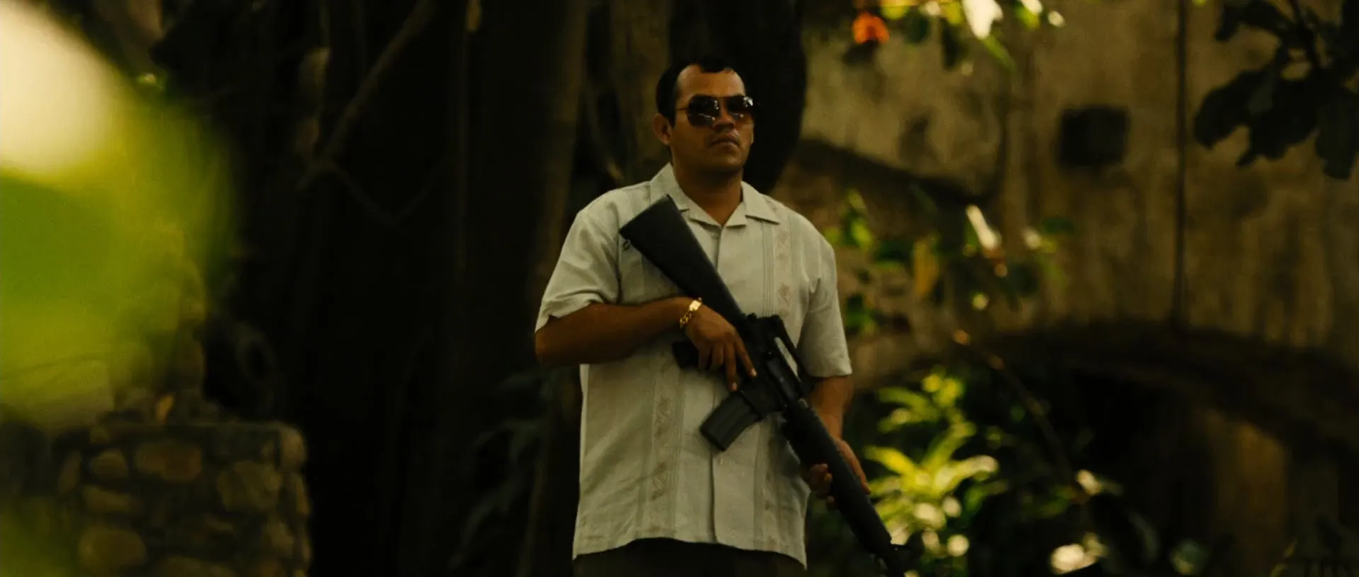 Colombiana (2011) Hindi Dual Audio 480p BluRay 350MB