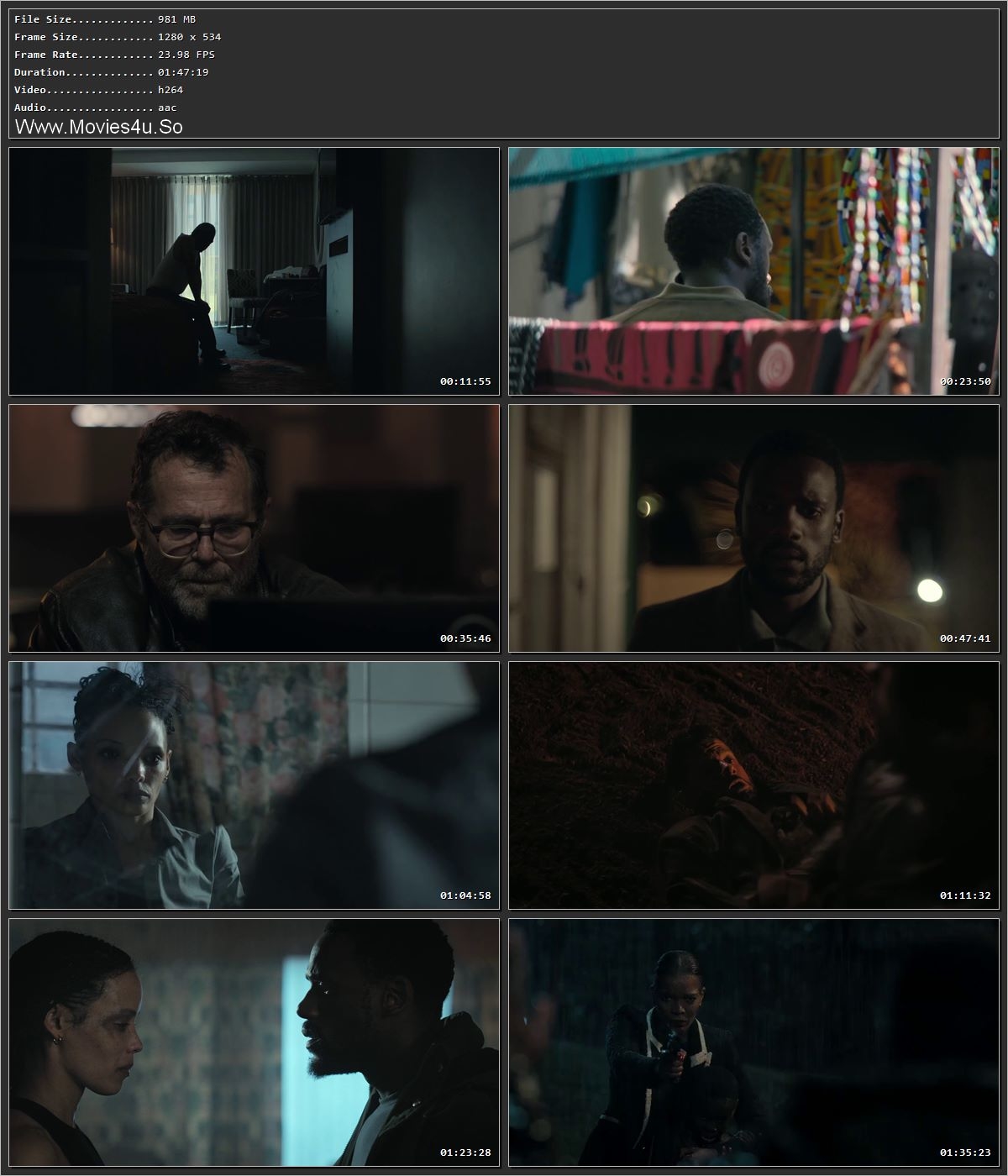 Heart of the Hunter 2024 Hindi Dual Audio HDRip 1080p – 720p – 480p