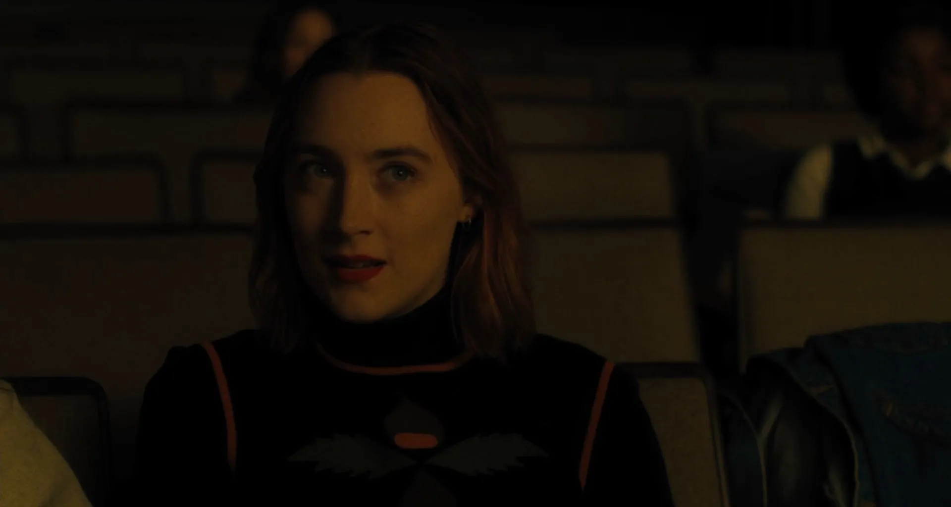 Lady Bird 2017 Hindi Dual Audio 720p BluRay [860MB]