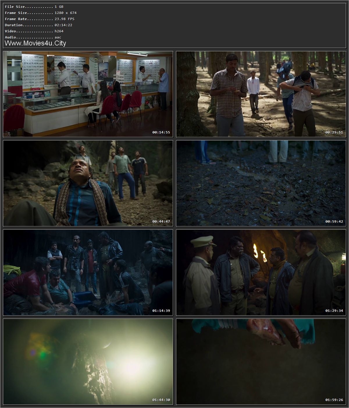 Manjummel Boys 2024 [Hindi (ORG) + Malayalam] HDRip 720p – 480p – 1080p