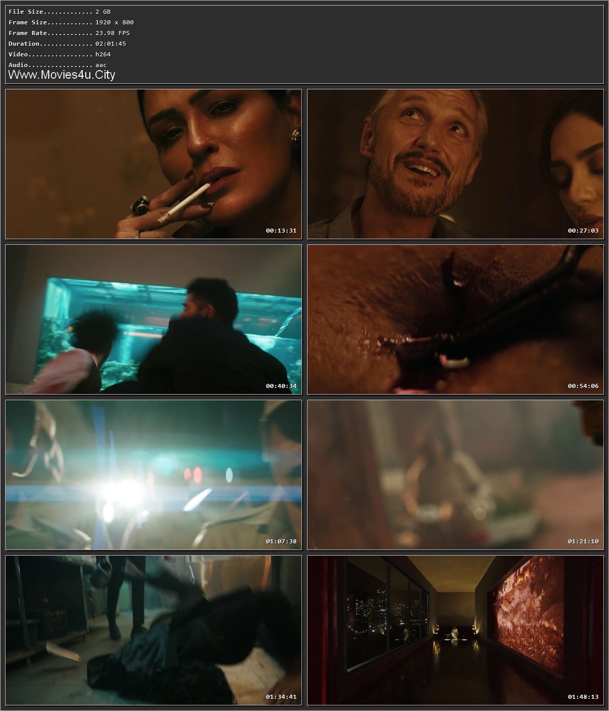 Monkey Man (2024) ENGLISH HDRip – 720p – 480p – 1080p