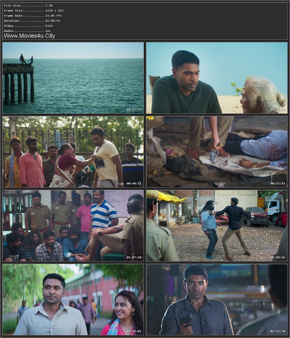 Raid (2023) [Hindi + Tamil] HDRip 720p – 480p – 1080p
