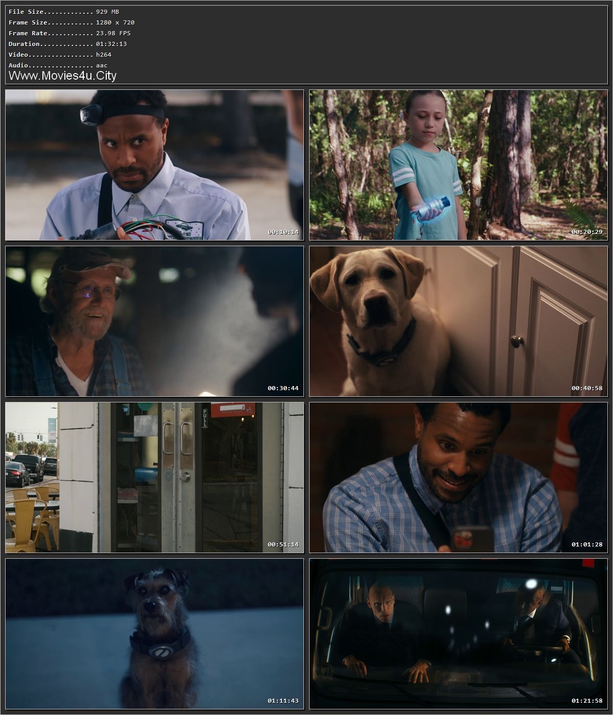 Space Pups (2023) Hindi Dual Audio HDRip 1080p – 720p – 480p