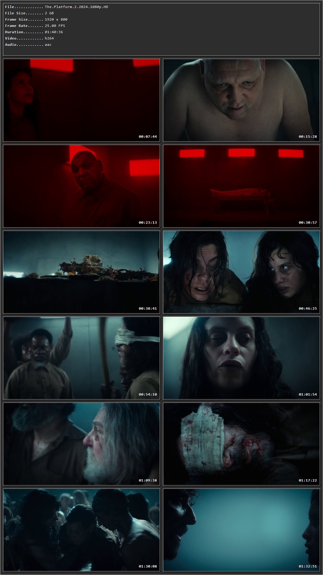 The Platform 2 (2024) Hindi Dual Audio HDRip 1080p - 720p - 480p
