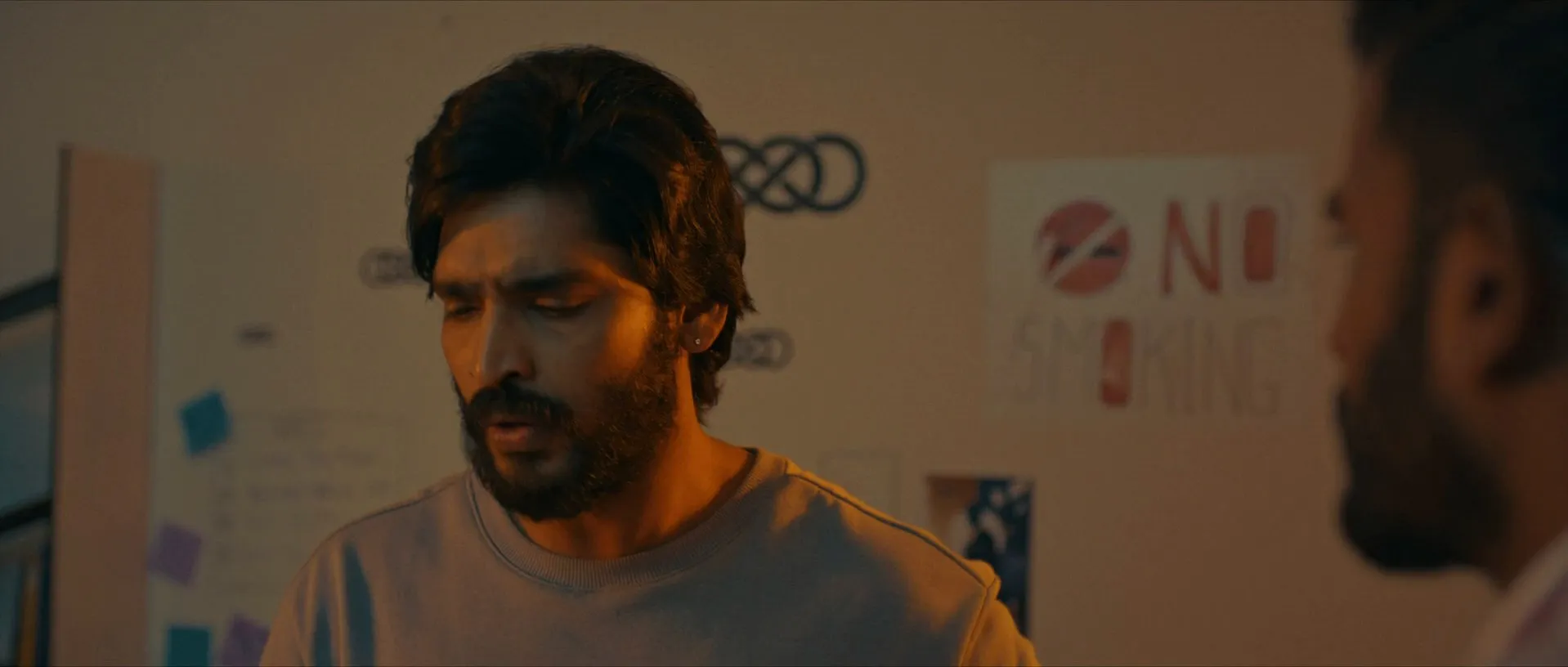 The Birthday Boy 2024 Hindi - Telugu Dual Audio WEB-DL 720p - 480p - 1080p