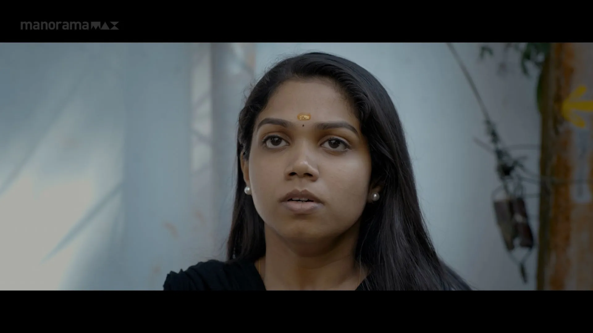 The Malabar Tales 2025 Hindi - Malayalam Dual Audio WEB-DL 720p - 480p - 1080p