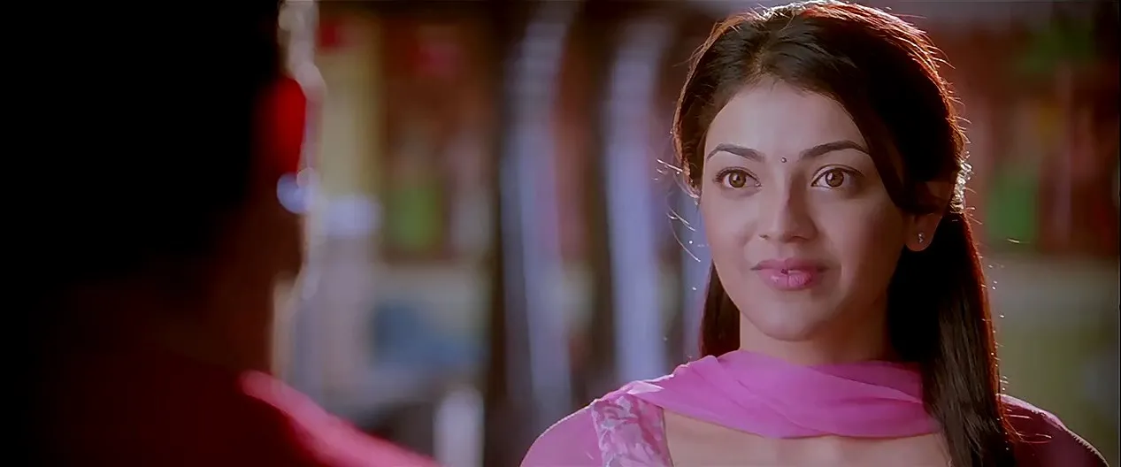 Brindavanam (The Super Khiladi) (2010) (Hindi – Telugu) Dual Audio 480p UnCut HDRip 600MB