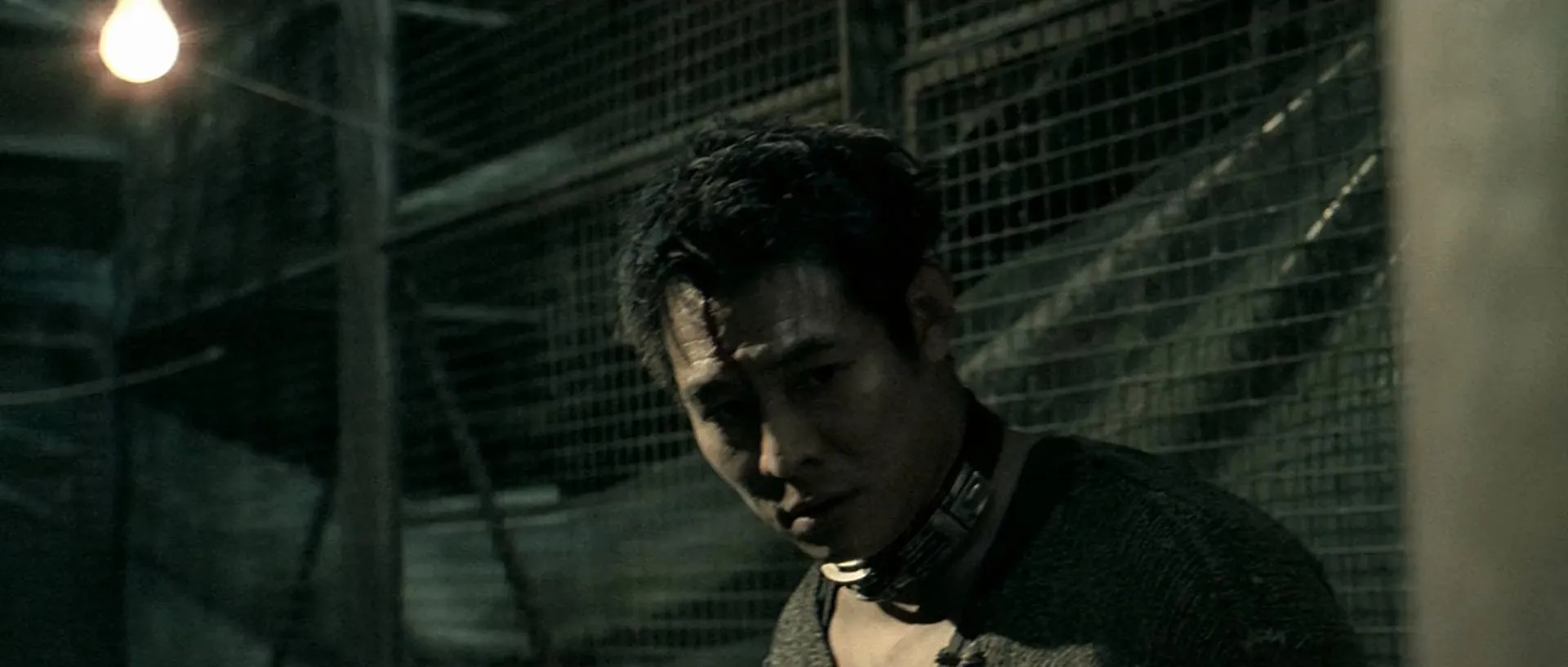 Unleashed (2005) Hindi Dual Audio 720p BluRay [1.1GB]