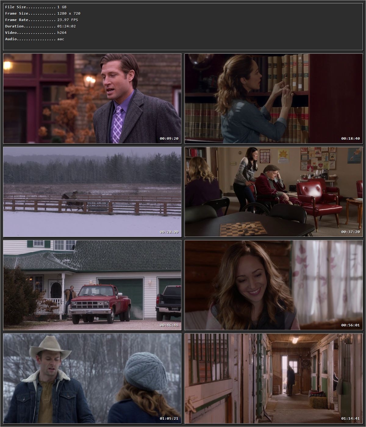 Valentine Ever After (2016) Hindi Dual Audio HDRip 720p – 480p