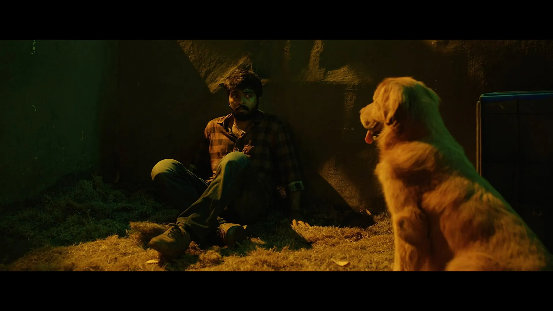 Watchman 2019 Hindi Dual Audio WEB-DL 720p - 480p - 1080p