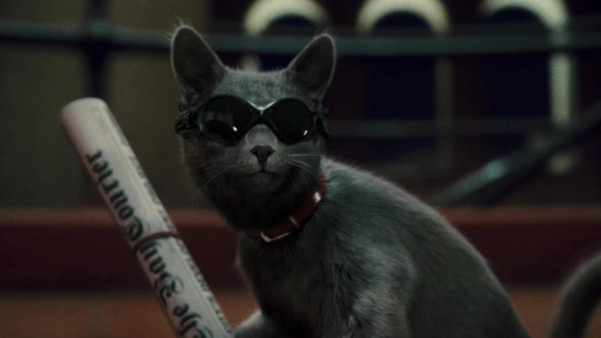 Cats & Dogs: The Revenge of Kitty Galore 2010 Hindi Dual Audio WEB-DL 720p - 480p - 1080p