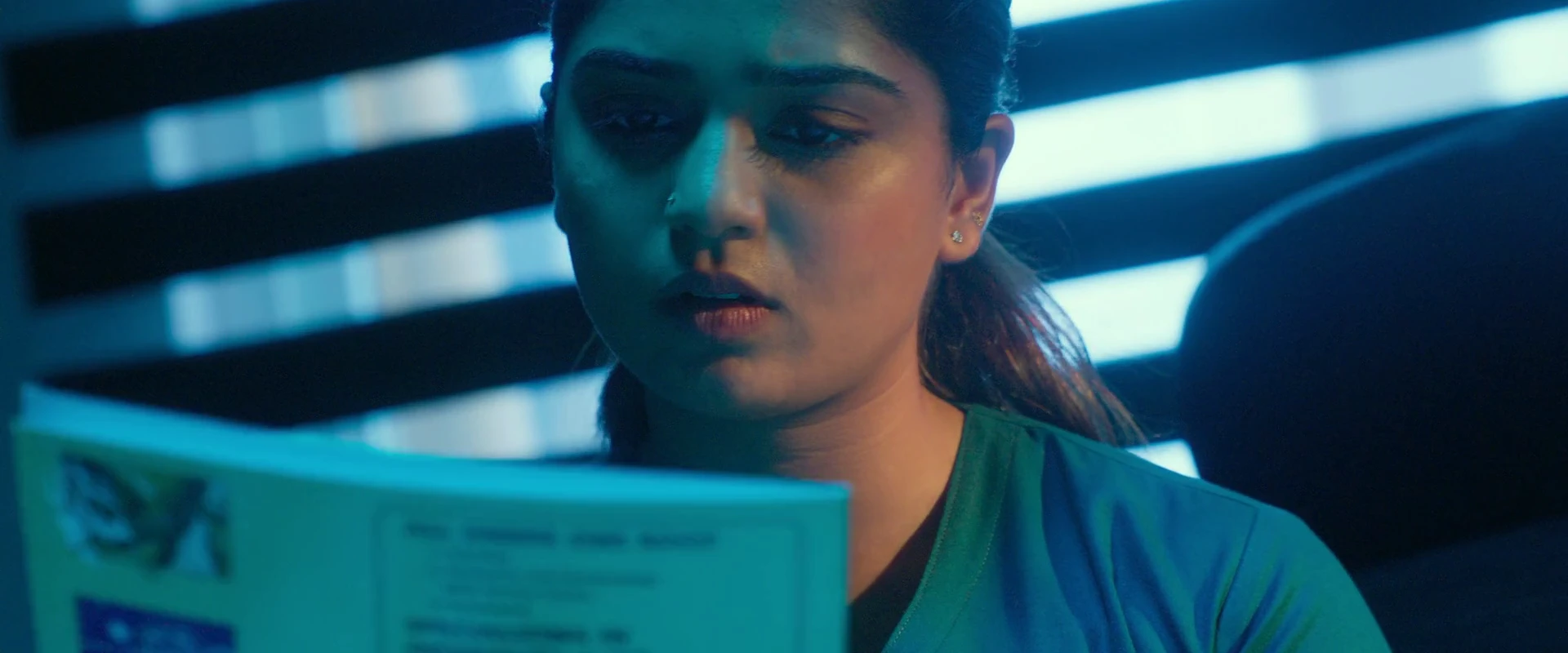 Others 2025 Hindi Dual Audio WEB-DL 720p - 480p - 1080p