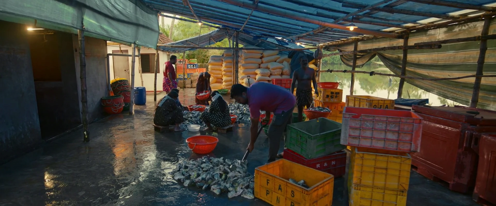 Pongala 2026 Hindi Dual Audio WEB-DL 720p - 480p - 1080p