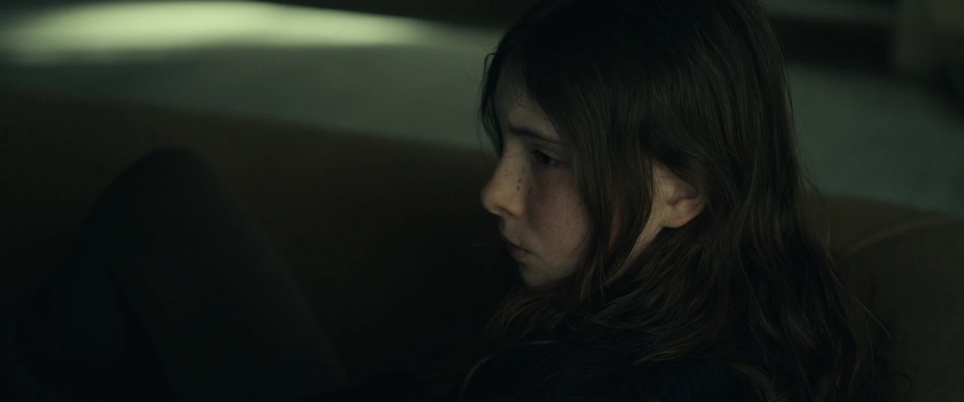 Shelter 2026 English Audio WEB-DL 720p - 1080p