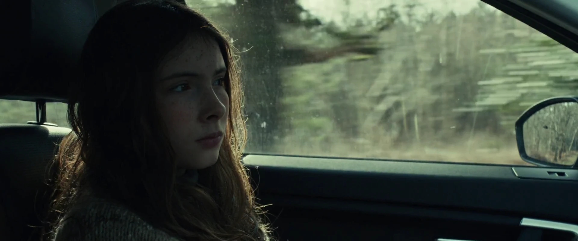 Shelter 2026 English Audio WEB-DL 720p - 1080p