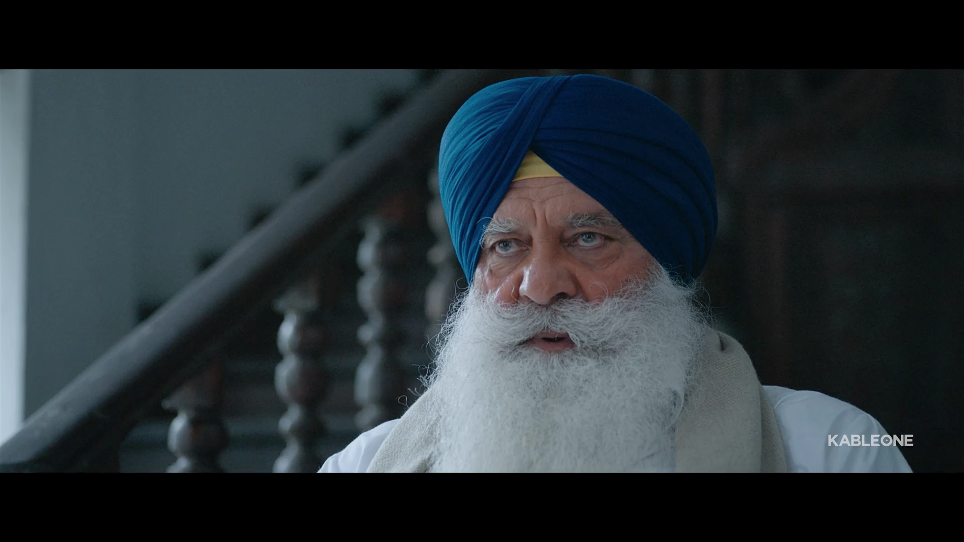 Shera 2026 Punjabi Audio WEB-DL 720p - 480p - 1080p