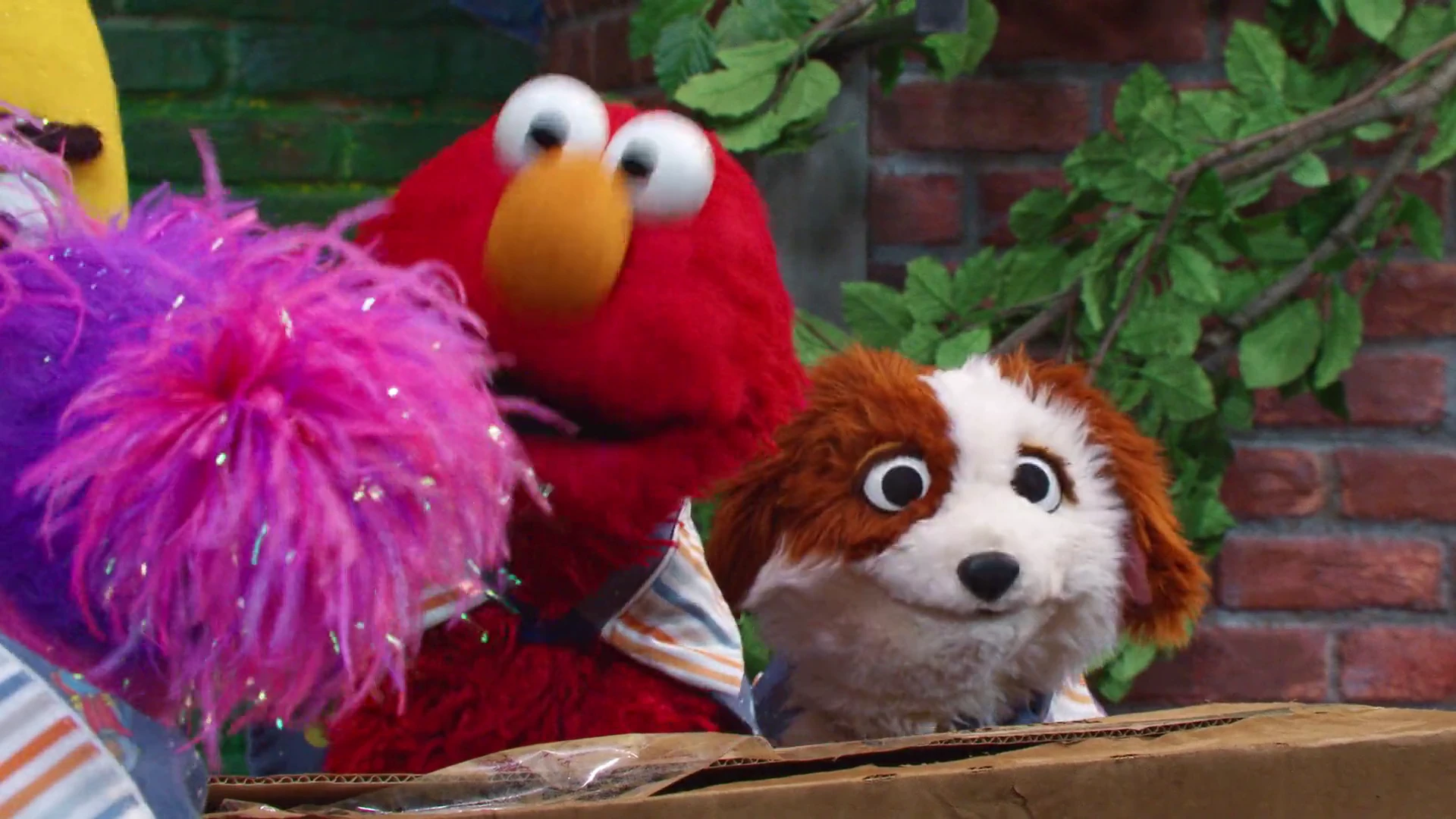 Storm on Sesame Street 2026 Hindi Dual Audio WEB-DL 720p - 480p - 1080p