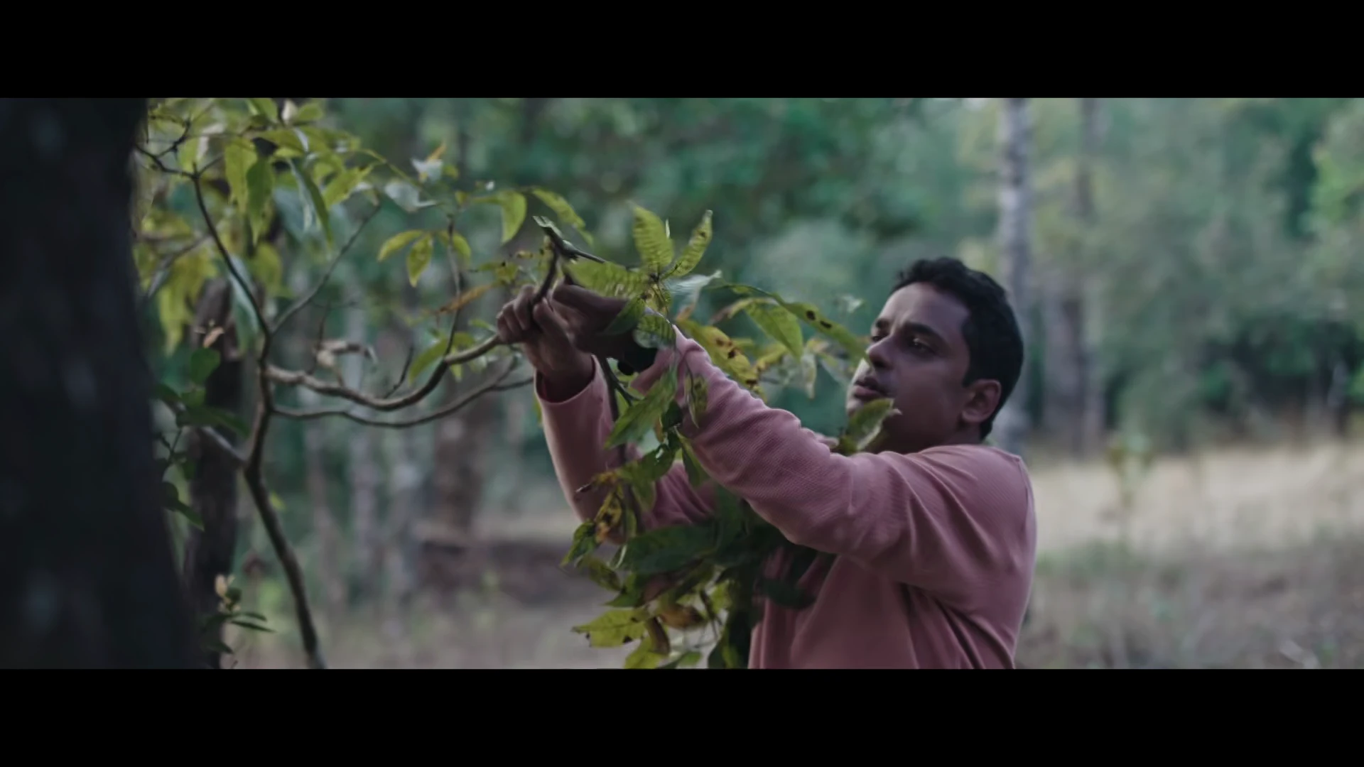 Vikalpa 2026 Kannada Audio WEB-DL 720p - 1080p