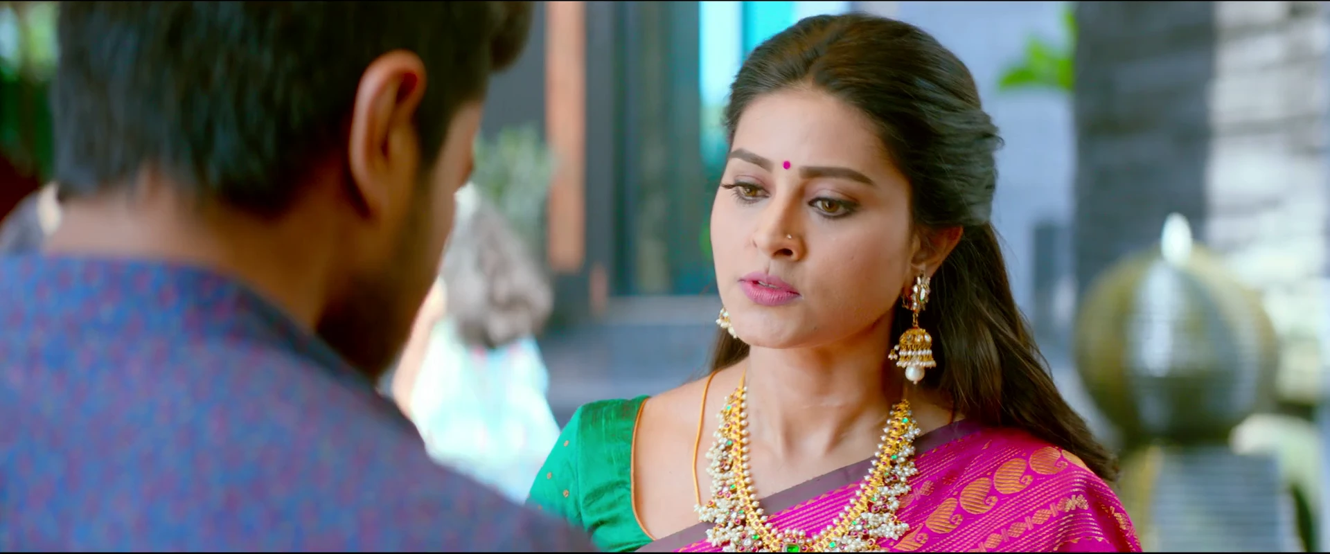 Vinaya Vidheya Rama 2019 Hindi Dual Audio WEB-DL 720p - 480p - 1080p