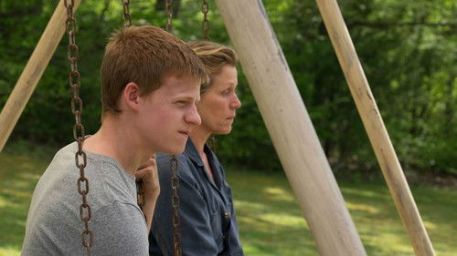 Three Billboards Outside Ebbing Missouri 2017 Dual Audio Hindi 480p BluRay 350MB