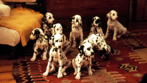 101 Dalmatians (1996) Hindi Dual Audio 720p BluRay [850MB]