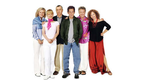 Meet the Fockers 2004 Hindi Dual Audio 480p BluRay 350MB