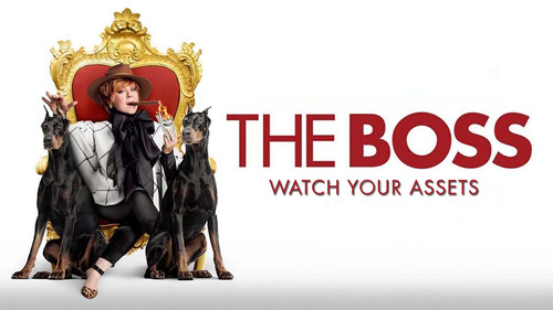 The Boss (2016) Hindi Dual Audio 480p BluRay 350MB
