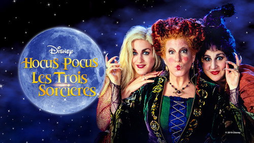 Hocus Pocus 1993 Hindi Dual Audio 480p BluRay 320MB